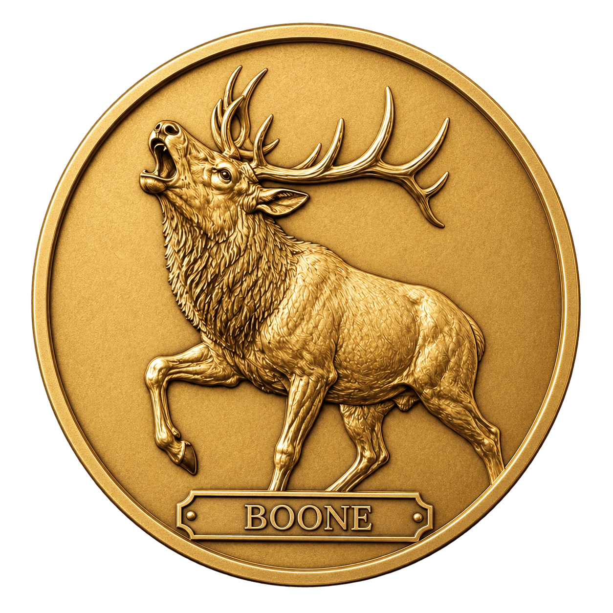 3D Sculpted Coins